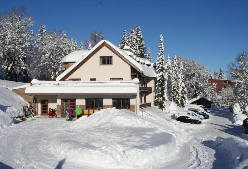 فندق Bödele Alpen