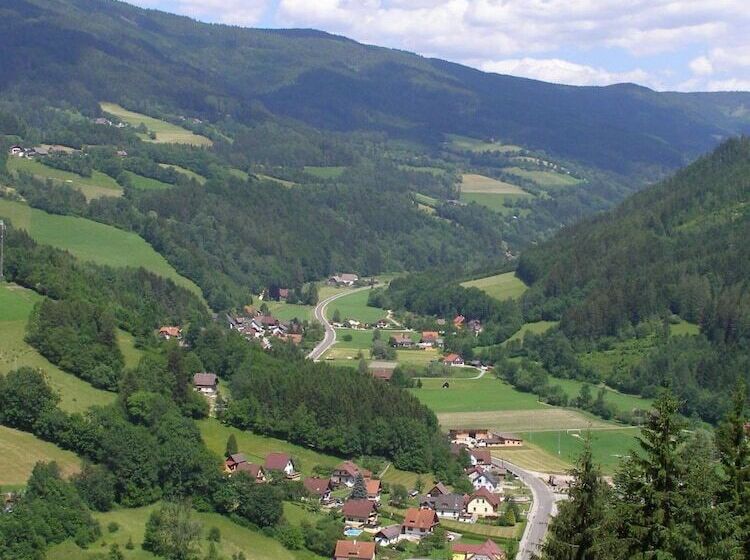 ホテル Gasthof Oberer Gesslbauer