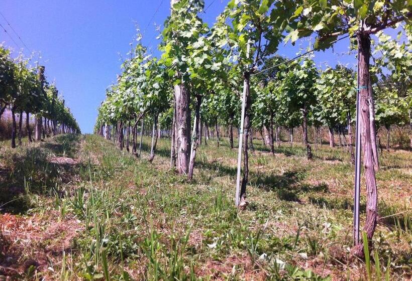 호텔 Osternacherhof