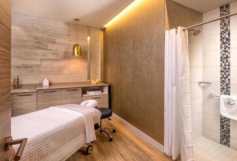 אתר נופש Club Wyndham Clearwater Beach