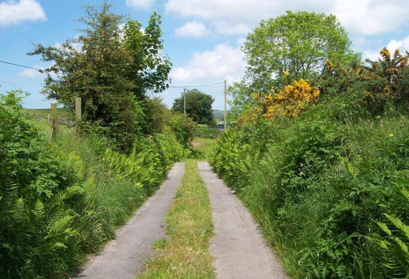 فندق صغير Valley Lodge Room Only Guest House