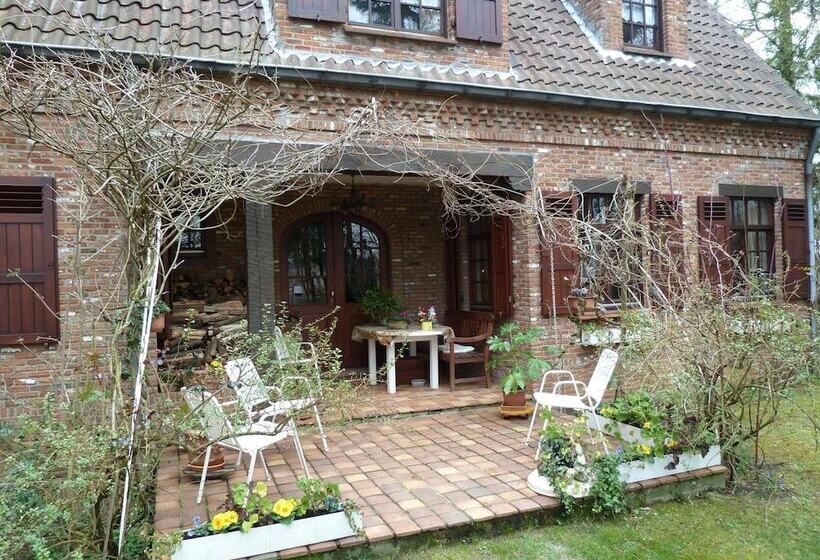 B&b  T Nieuw Lijsternest