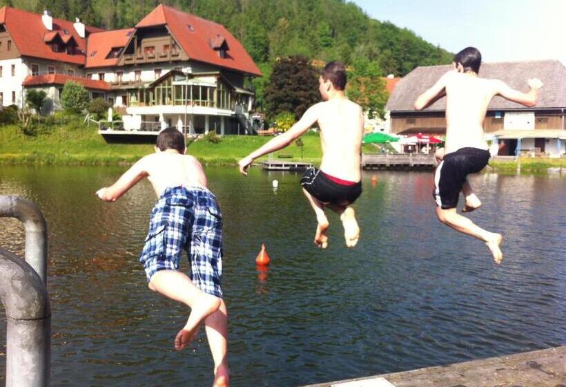 酒店 Seegasthof Breineder   Familien & Seminar