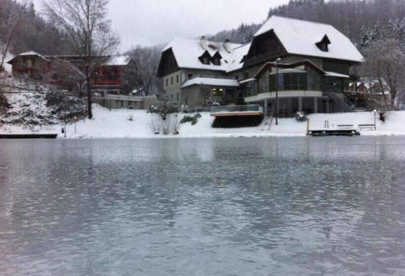 酒店 Seegasthof Breineder   Familien & Seminar