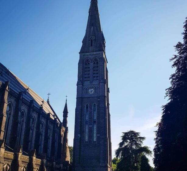 旅馆 Maynooth Campus Accommodation