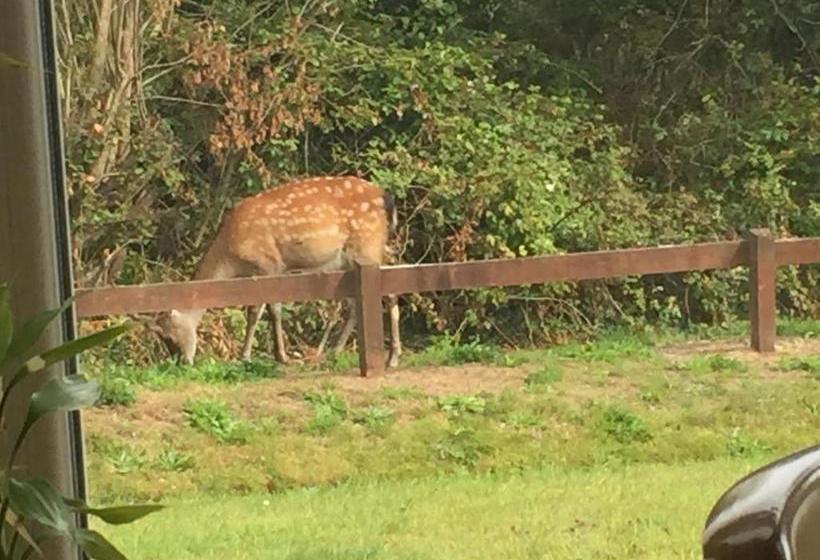 צימר 2 Mile Lodge