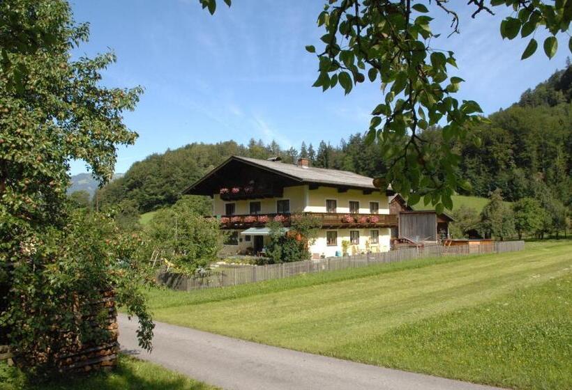 Bed and Breakfast Hinterkellaubauer