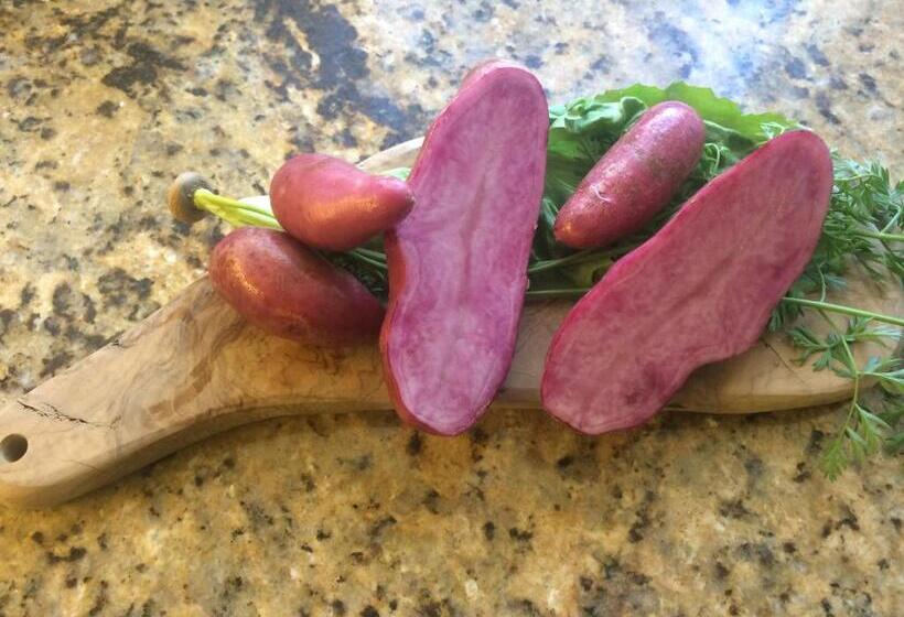 هتل Villa Blumegg