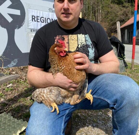 هتل Villa Blumegg