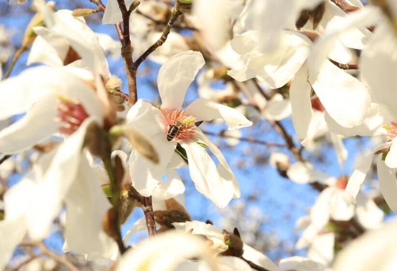 هتل Villa Konstanze