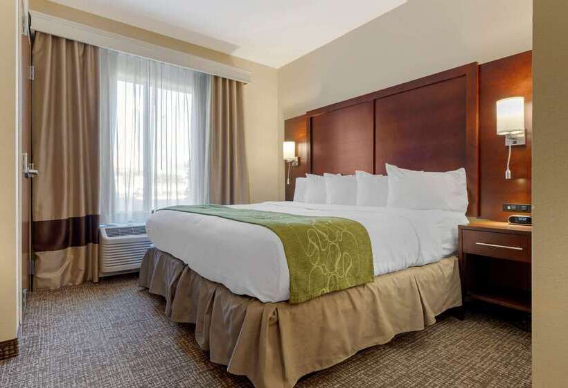 בית מלון כפרי Comfort Suites Greenville South