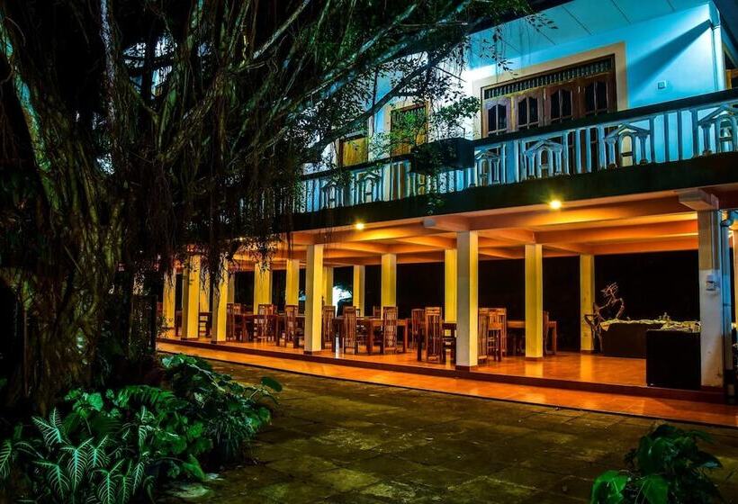 فندق Rainforest Lodge