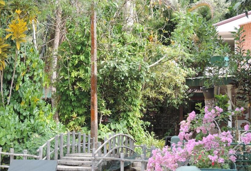 فندق Rainforest Lodge
