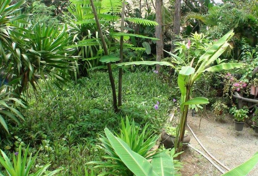 تختخواب و صبحانه Enkosa 4 Bedroom Wooden Luxury House