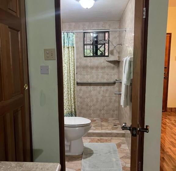 Castlevue B&b