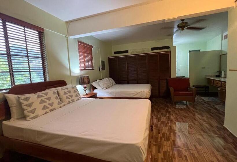 Castlevue B&b