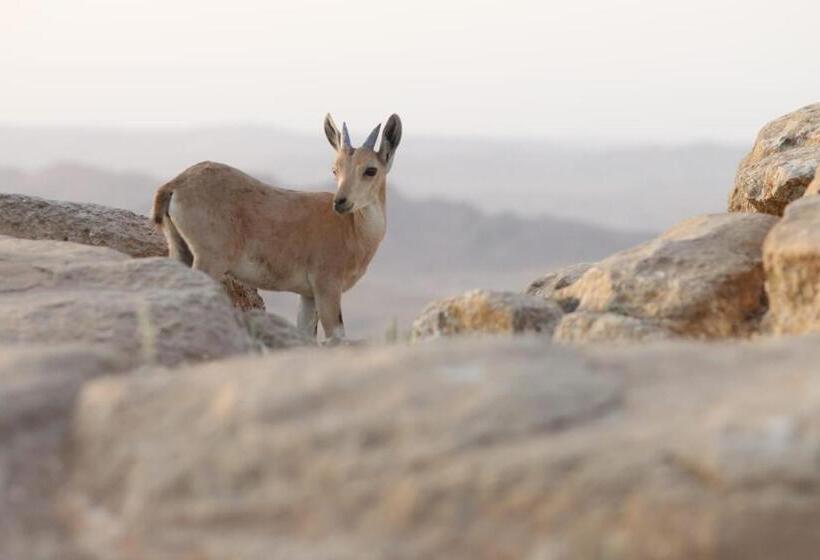 Hotel Ibex Unique Desert Inn