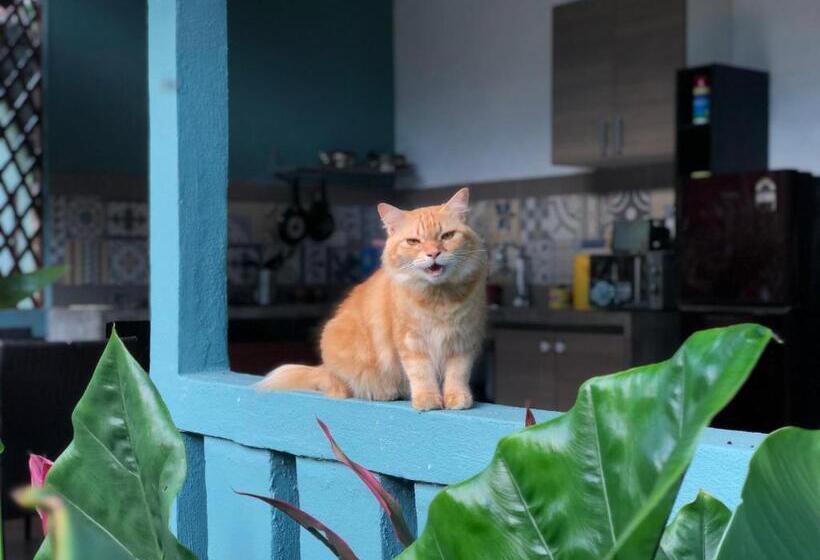 Pensionat Pondok Keladi Langkawi Guesthouse