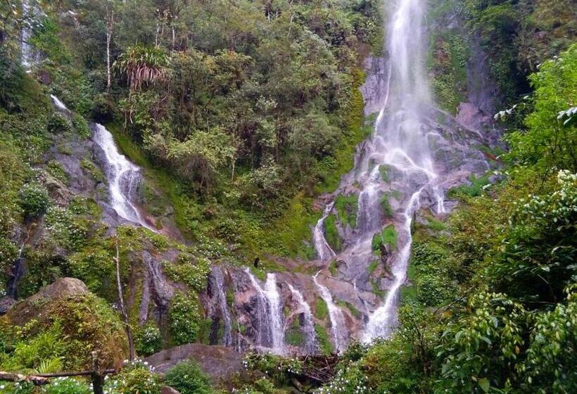 استراحتگاه Toraja Misiliana