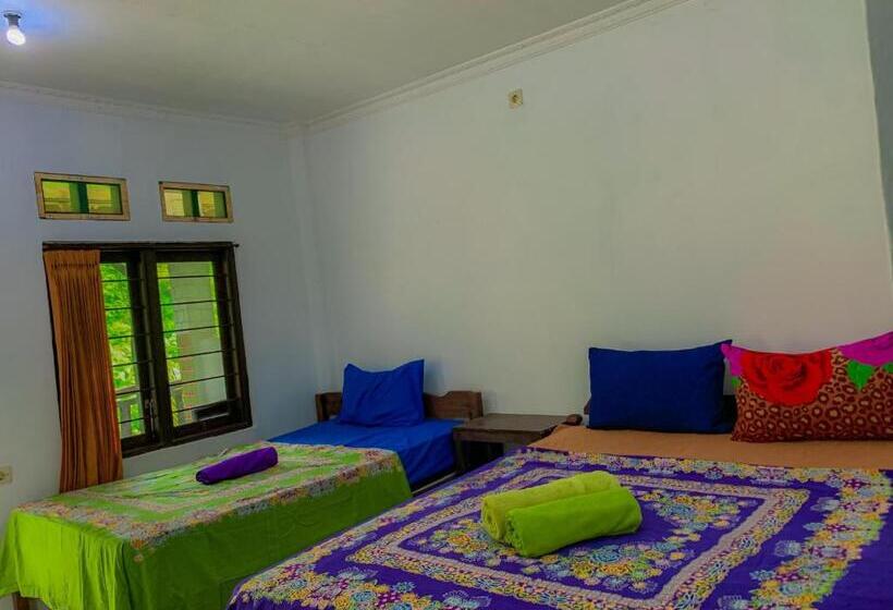 پانسیون Breeze Hostel
