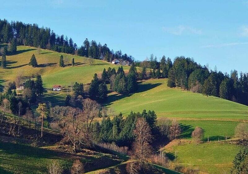 פונדק Gasthaus Zum Raben