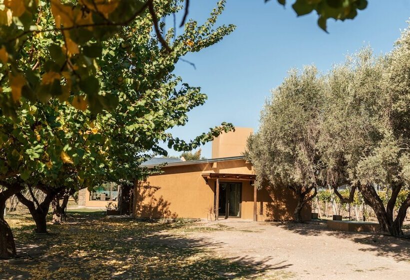 فندق فئة نجمة واحدة Posada Bonarda