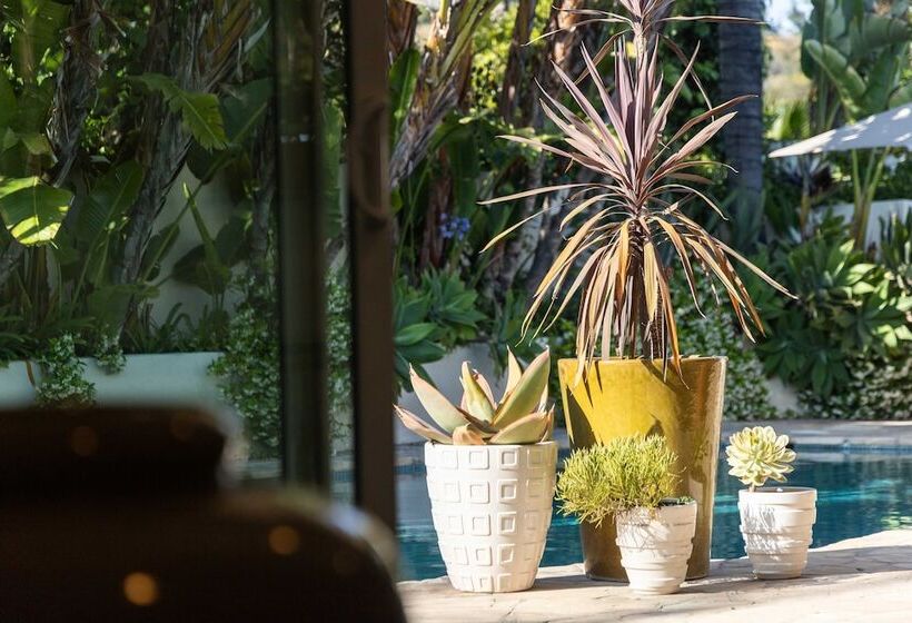 Edwin By Avantstay Hollywood Hills Luxury + Pool