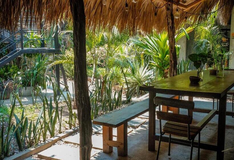 مسافرخانه La Escondida H