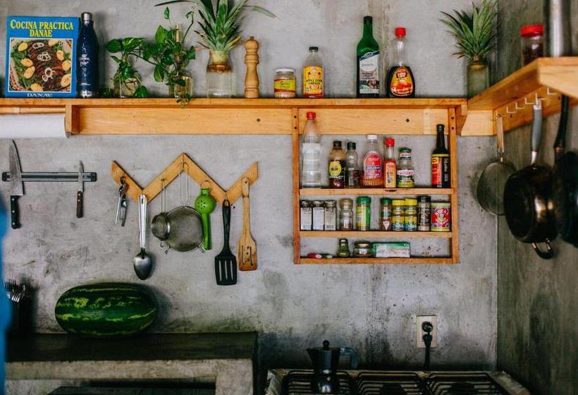 مسافرخانه La Escondida H