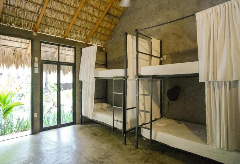 مسافرخانه La Escondida H