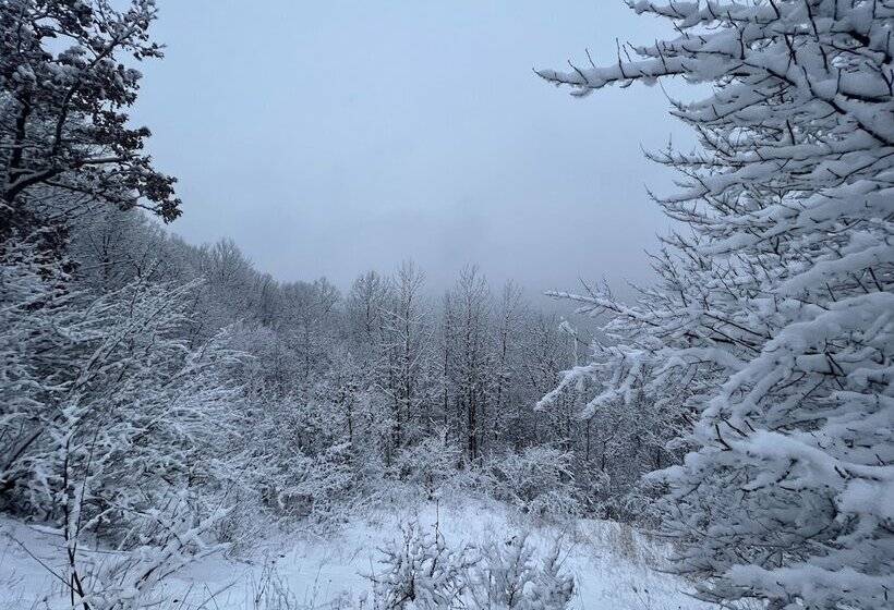 Valley Overlook