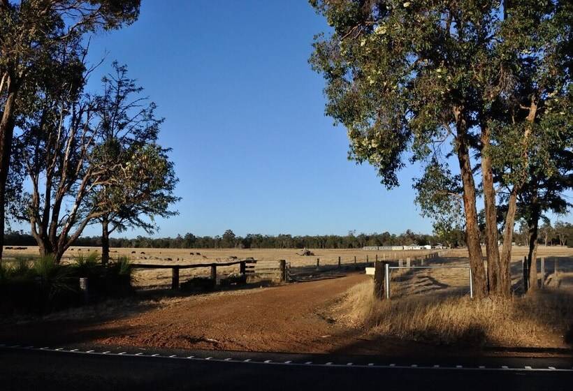 Wilga Farm Stay   Shearer S Shacks   Single