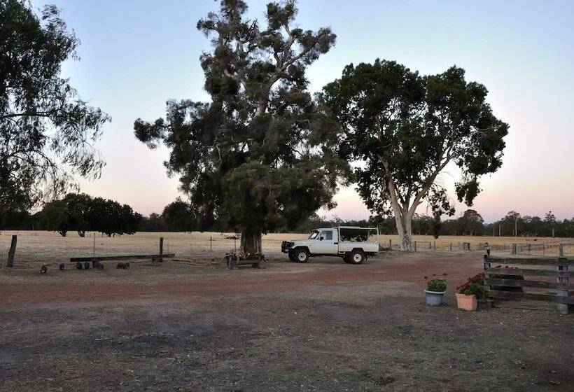 Wilga Farm Stay   Shearer S Shacks   Single