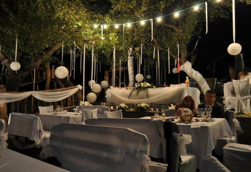 בית מלון כפרי Tihiat Kat