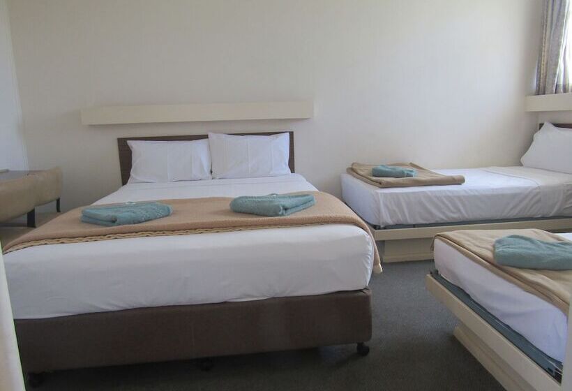 فندق على الطريق Twin City Motor Inn