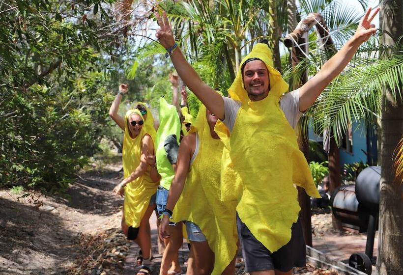فندق صغير Cool Bananas Backpackers