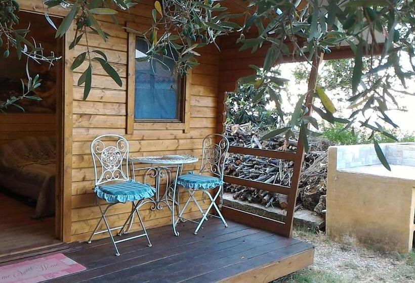 B&b Meladormo