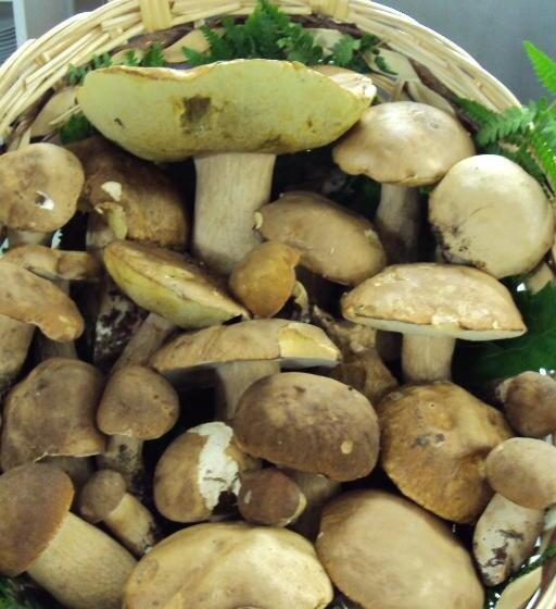 민박 Locanda Degli Sfizi