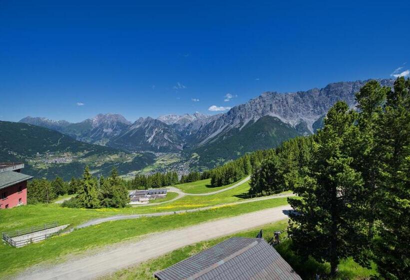 فندق Gallo Cedrone