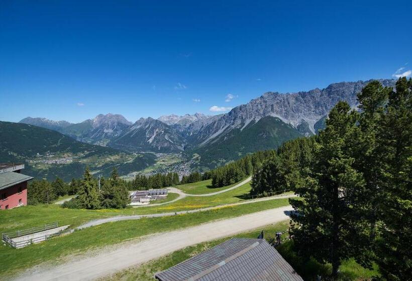 فندق Gallo Cedrone