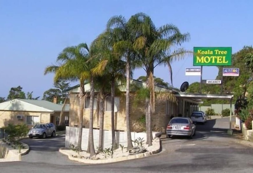 Koala Tree Motel