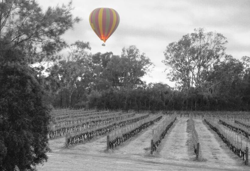 Мотель Adina Vineyard