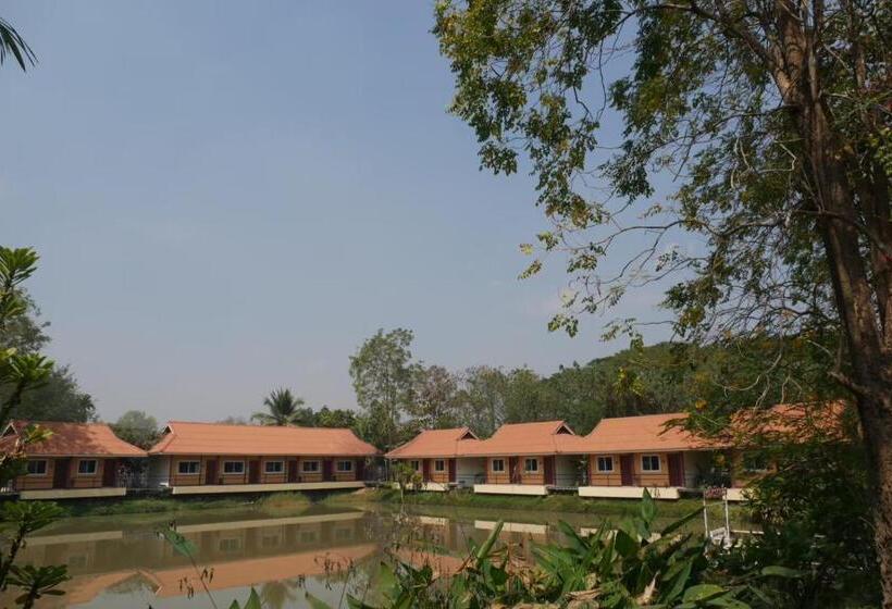 酒店 โรงแรมแม่วังรีสอร์ท