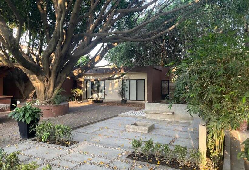 بنسيون Villa La Mini