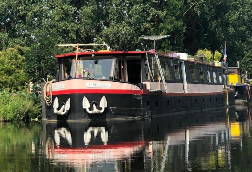 ベッドアンドブレックファースト Péniche Libellule Ailly Sur Somme