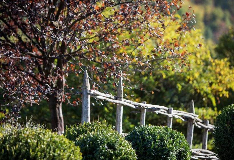 Bed and Breakfast Tenuta Moncarlino