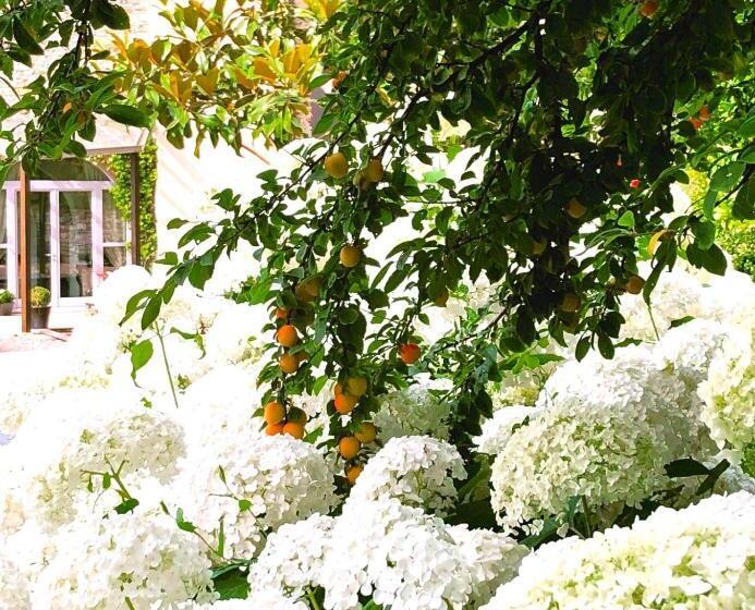 Bed and Breakfast Tenuta Moncarlino
