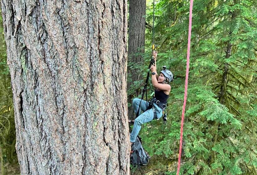 민박 Tree Climbing At Silver Falls
