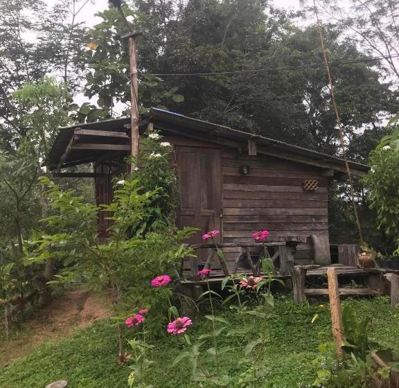 هتل สวนบ้านนอก Suanbaannoak