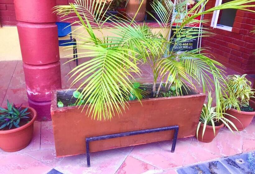 ベッドアンドブレックファースト El Elolo